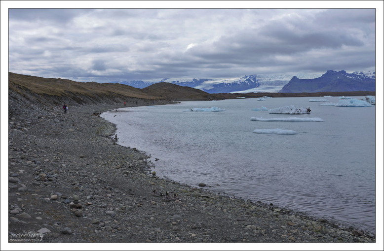 Флотилия айсбергов приближается к берегу.