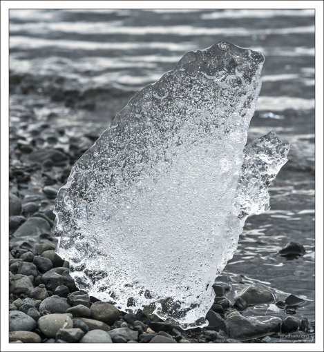 Пузыристое крыло мифической птицы.