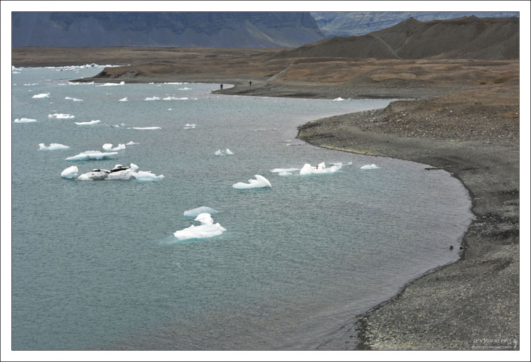 Чем дальше от побережья, тем айсберги мельче.