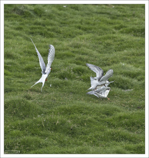 Драка за место.