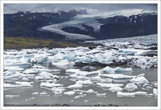 В лагуне Фьядльсаурлоун очень много айсбергов, которые откалываются от края ледника.