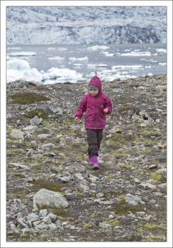 Саша занята своим любимым делом в Исландии - собиранием ягод.