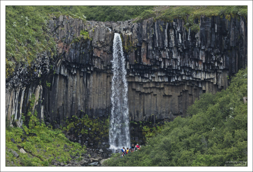 Svartifoss в переводе означает Чёрный водопад.