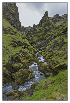 Заросший мхом каньон.