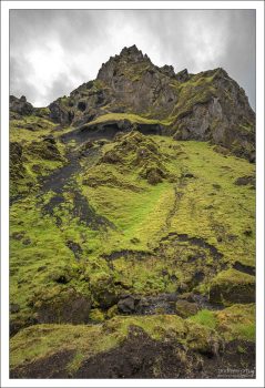 Ярко-зеленый мох на стенах каньона.