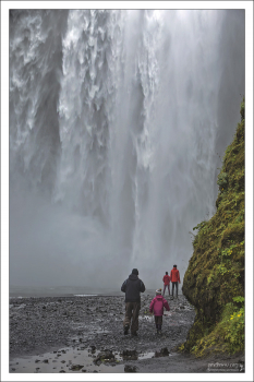 Река под Скоугафоссом содержит большое количество лосося.