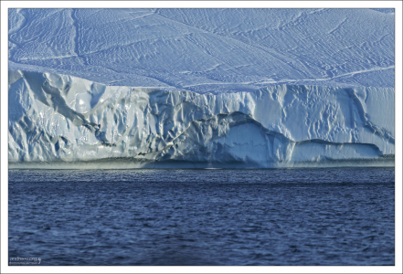 Поверхность некоторых айсбергов выглядит так, будто по ней проложены лыжные трассы.