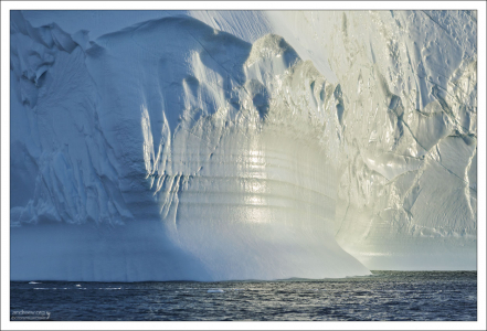 Гладкий бочок.