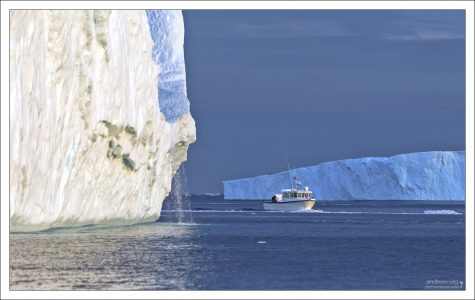 Айсберговое "лицо" плачет.