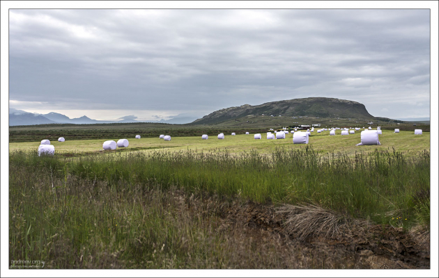 Сено, упакованное от непогоды.