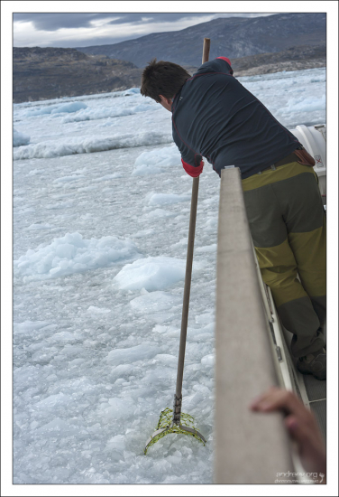 Помощник капитана достает лед для коктейлей.
