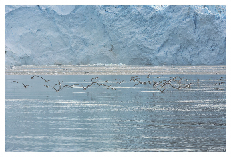 Чайки облетают катер.