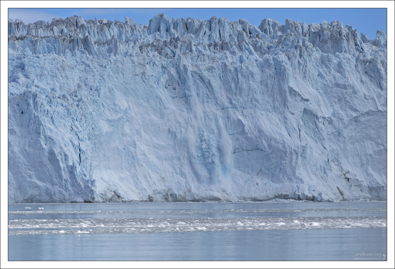 Ледник Эки рождает очередной айсберг.