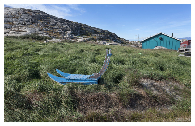 Широкие и короткие гренландские сани. Собак в них запрягают не цугом, а веером, для большей маневренности.