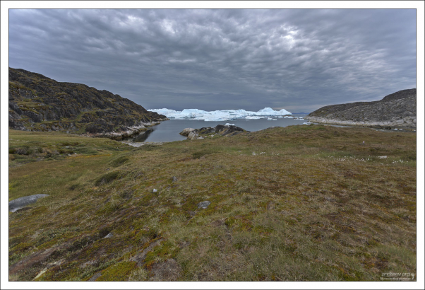 Айсберги уходят в свободное плавание.