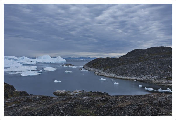 Айсберги отплывают в сторону Илулиссата.