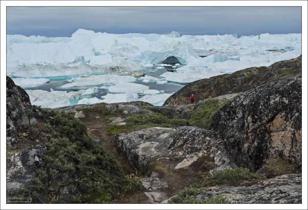 Якобсха́вн - крупный выводной ледник в Западной Гренландии, который заканчивается в Илулиссат-Исфьорде.