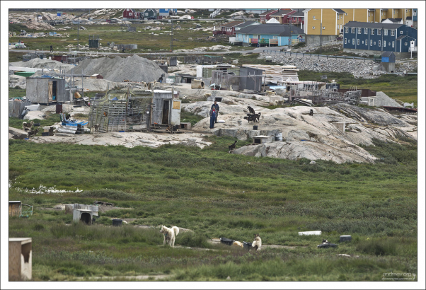Словом «husky» изначально назвали эскимосов (или инуитов), «…известных как хаски, сокращение от хаскимос – так произносили слово «эскимос» английские моряки торговых судов».