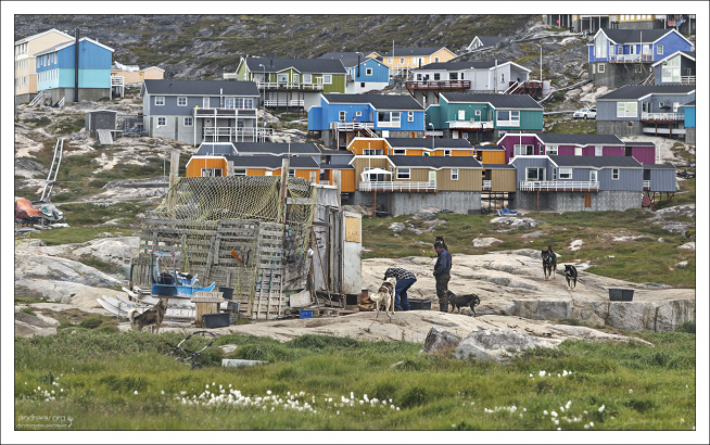 Летом важно поддерживать стройность хаски, не перекармливать, увеличивая рацион только по мере приближения зимы.