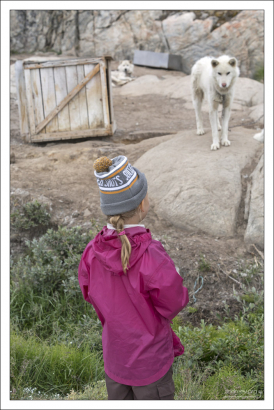 С удивлением разглядывает человеческого "щенка".