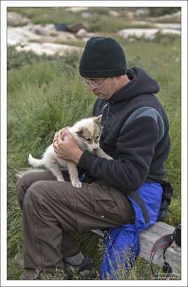 Самый смелый щенок залез на руки.