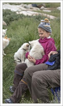 Каждому хочется на ручки.