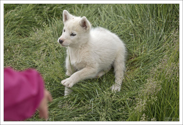 Поиграли - можно и закусить.