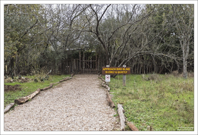 Специальное укрытие (bird blind), откуда удобно фотографировать птиц.