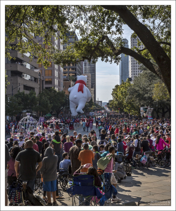 Белый медведь под небоскребами.