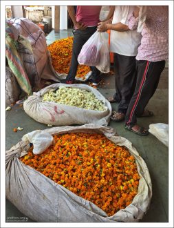 Оранжевые бархатцы - символ праздника урожая.
