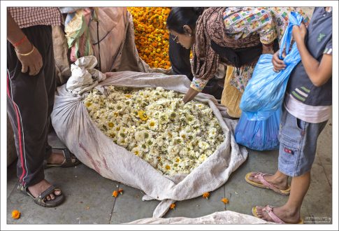 Цветы для декораций к очередному празднику, каких в Индии очень много.