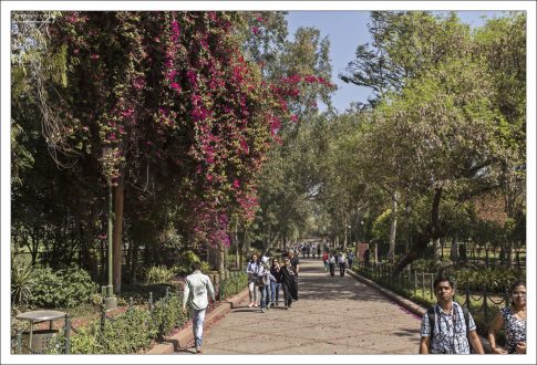 В парке Sangharsh Sthal.