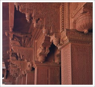 Декоративные колонны (на которых нет "живого" места) Красного форта.