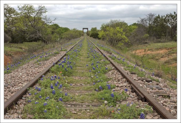 Заброшенная железная дорога недалеко от техасского города Kingsland.