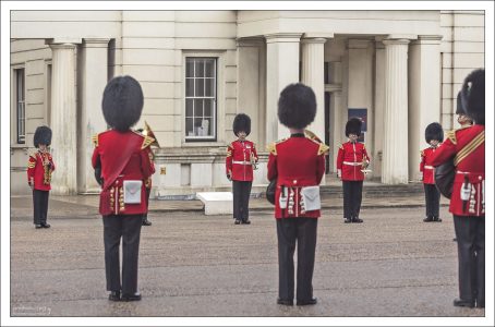 Солдаты полков Дворцовой Дивизии принимали участие во многих (если не во всех) военных конфликтах и внутренних операциях, куда была затянута Британская армия за последние 330 лет.