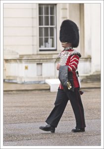 Британское Министерство обороны ежегодно получает от 50 до 100 шкур черного медведя, по цене около 650 фунтов стерлингов каждая (примерно 53 тыс. рублей).