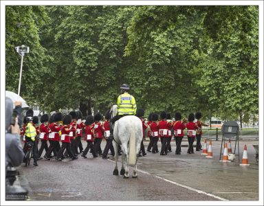 В настоящее время, “bearskins” носят исключительно как дань традиции во время церемоний.