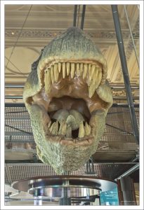 Последнее, что видит любое, съеденное хищным динозавром, существо :)