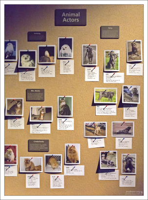 Фотографии всех животных, снимавшихся в саге о Гарри Поттере.