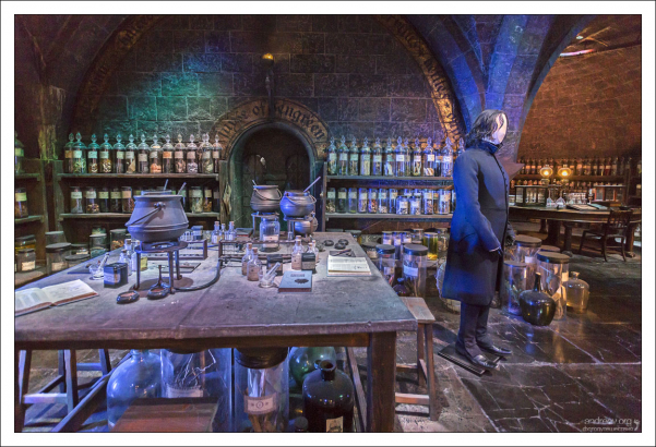 Темный кабинет Северуса Снегга (англ. Severus Snape) находился в одном из подземелий Хогвартса.