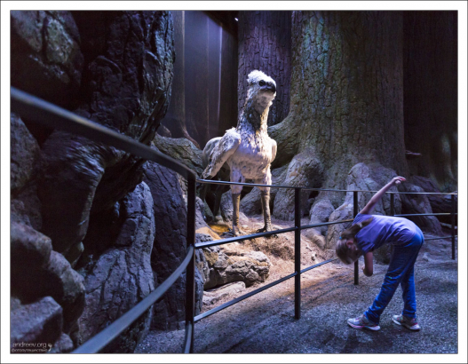 В Запретном лесу также расположена одна из трех моделей гиппогрифа Клювокрыла (англ. Buckbeak).