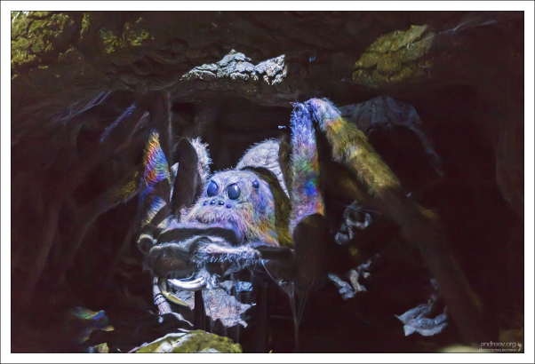 Сцену с пауками снимали "живьем". «Если вы страдаете арахнофобией, – гласила рабочая памятка, – не приходите завтра на съемочную площадку».