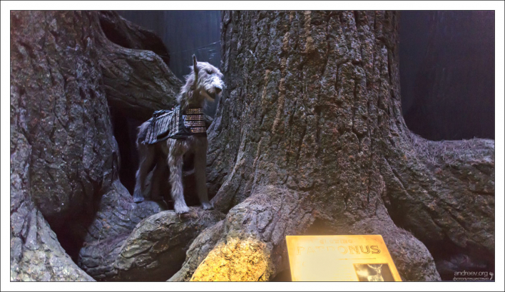 Действующая модель Патронуса. Patronus (от лат. patronus – защитник) – магическая сущность, вызываемая заклинанием «Экспекто патронум».