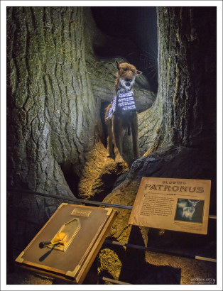 Для создания патронуса Гарри Поттера в виде оленя, командой по спецэффектам был спроектирован специальный жилет со светодиодной подсветкой. На съемках жилет носила настоящая шотландская оленья борзая (Scottish deerhound). Так что даже в таких мелочах (олень – оленья борзая) была соблюдена точность.