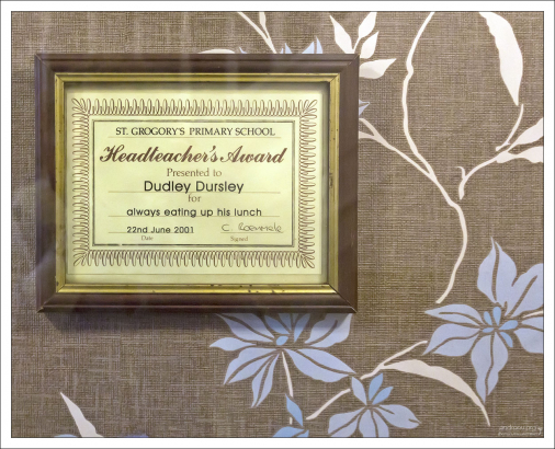 Школьная грамота, выданная Дадли Дурслю (двоюродному брату Гарри Поттера), за то, что он всегда доедает свой обед.