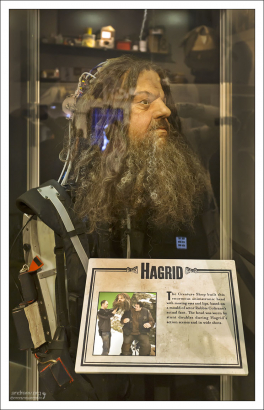 Для гиганта Хагрида была сделана специальная маска-аниматроник, в которой сервоприводы управляли глазами, бровями, веками, и даже нижней челюстью.