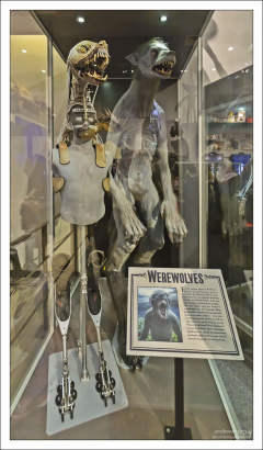 Чтобы превратить профессора Люпина в оборотня, команда спец-эффектчиков создала серию протезов и костюмов для актера Дэвида Тьюлиса.