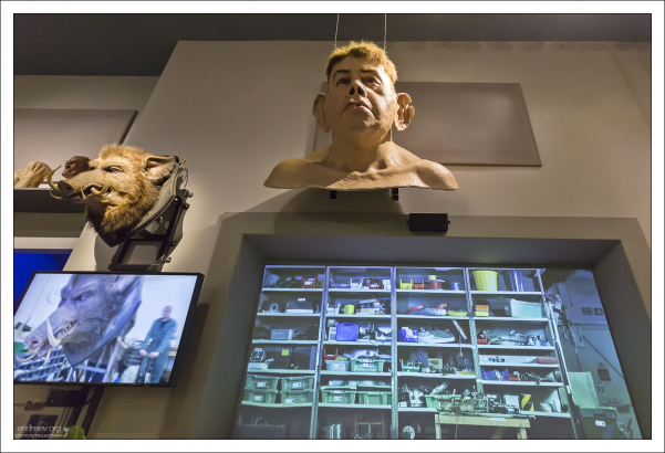 Голова Грохха - младшего брата Хагрида.