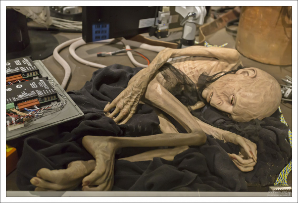 Во что превратился Волан-де-Морт...