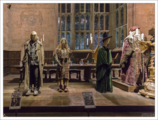 Преподаватели школы волшебства Хогвартс.